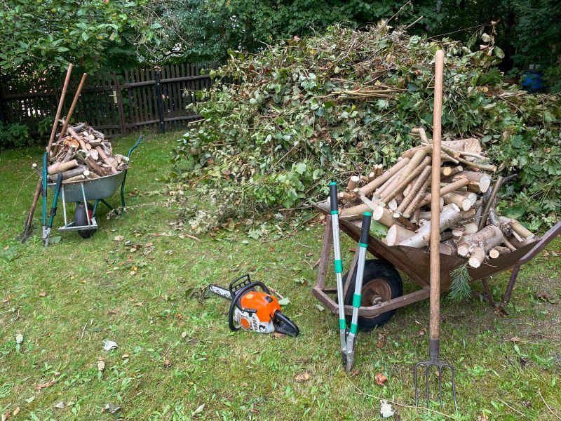 Cost of Tree Removal — Cost of Tree Removal