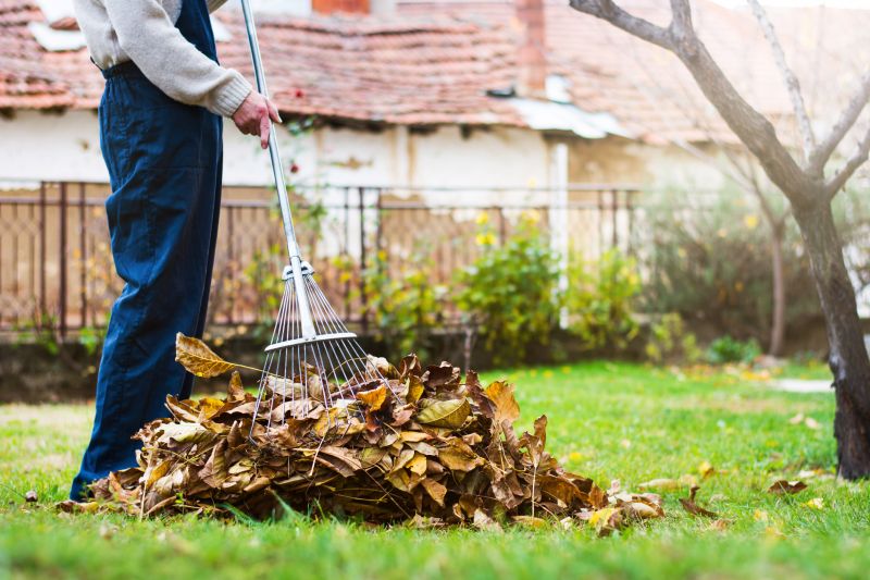 Leaf Raking Efficiency