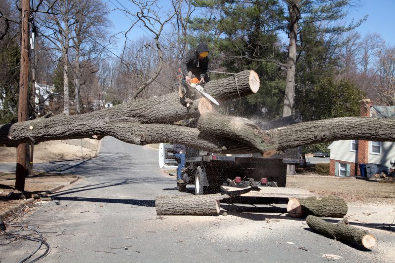 Emergency Tree Removal Equipment